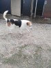 Sponsor Lola