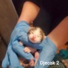 Elsa and the babies