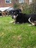 Kika Success Story