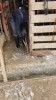 Donate For Winter Kennels