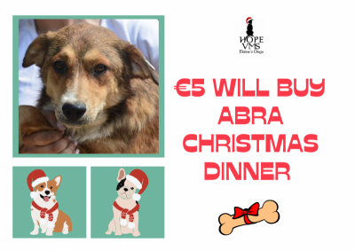 Buy Abra Christmas Dinner For Just 5 Euros