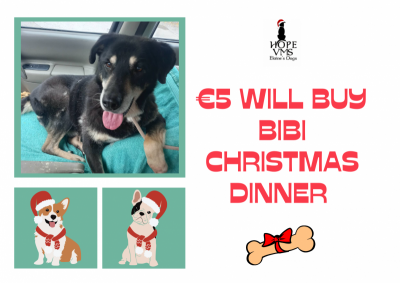 Buy Bibi Christmas Dinner For Just 5 Euros