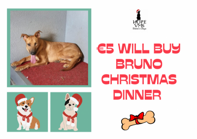 Buy Bruno Christmas Dinner For Just 5 Euros