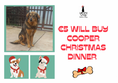 Buy Cooper Christmas Dinner For Just 5 Euros
