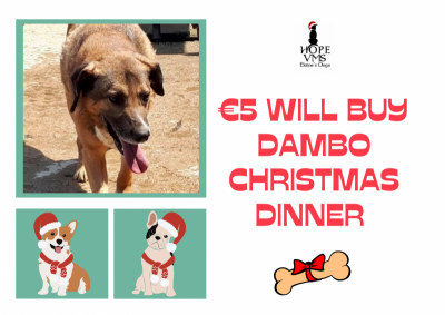 Buy Dambo Christmas Dinner For Just 5 Euros
