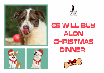 Buy Alon Christmas Dinner For Just 5 Euros
