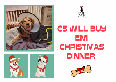 Buy Emi Christmas Dinner For Just 5 Euros