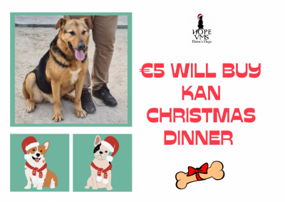 Buy Kan Christmas Dinner For Just 5 Euros