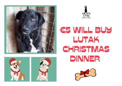 Buy Lutak Christmas Dinner For Just 5 Euros