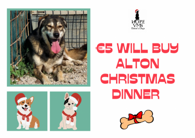 Buy Alton Christmas Dinner For Just 5 Euros