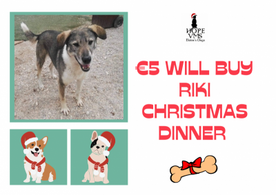 Buy Riki Christmas Dinner For Just 5 Euros