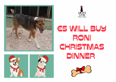 Buy Roni Christmas Dinner For Just 5 Euros