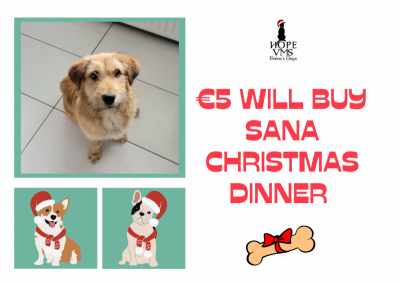 Buy Sana Christmas Dinner For Just 5 Euros