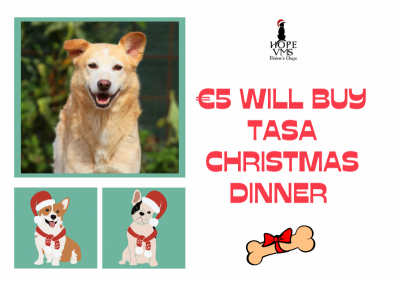 Buy Tasa Christmas Dinner For Just 5 Euros