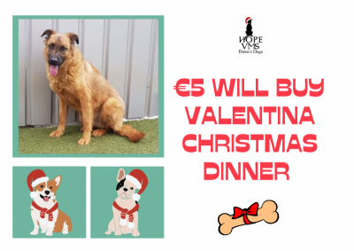Buy Valentina Christmas Dinner For Just 5 Euros