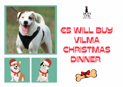 Buy Vilma Christmas Dinner For Just 5 Euros