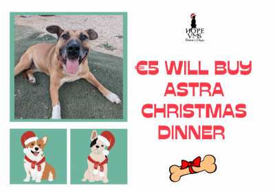 Buy Astra Christmas Dinner For Just 5 Euros
