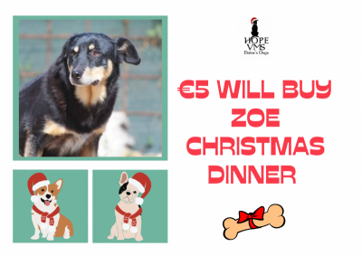 Buy Zoe Christmas Dinner For Just 5 Euros