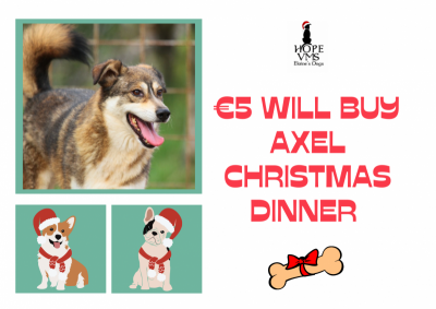 Buy Axel Christmas Dinner For Just 5 Euros