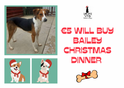 Buy Bailey Christmas Dinner For Just 5 Euros