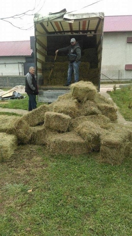 Donate For Winter Hay And Straw