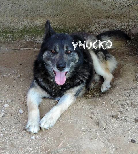 Sponsor Vhucko